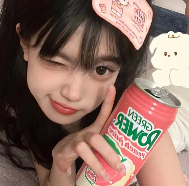 叛碟
